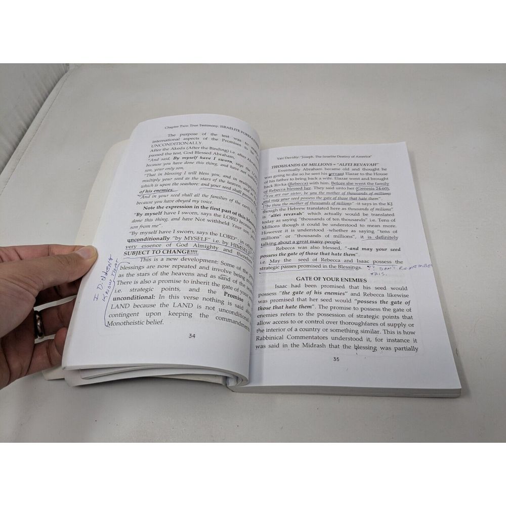 Joseph The Israelite Destiny Of America 2nd Edition 2001 Book Yair Davidi - Picture 14 of 15